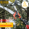 進口園藝伸縮高空剪高枝剪子高空鋸樹枝剪刀修枝剪園林工具高枝鋸