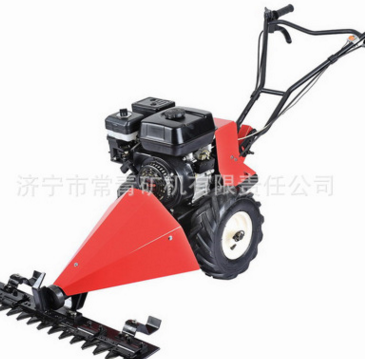 廠家供應(yīng)植保機(jī)械 手推式剪草機(jī) 汽油割草機(jī)行走無(wú)級(jí)變速