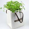 園藝盆栽創(chuàng)意禮品 工藝擺件陶瓷擺件zakka多肉植物盆栽特價促銷