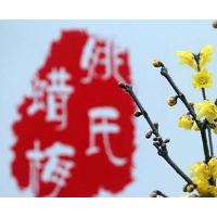 第七屆鄢陵蠟梅梅花文化節將于1月22日舉行