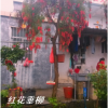 紅花垂柳，俗名叫做串錢柳。為什么叫做串錢柳？它的樹形和枝條，