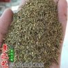 優質大葉蒲公英種子野菜婆婆丁種子黃秋葵種子藥材種子