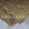 批發狗牙根草坪種子 帶殼 踐踏草坪 草皮種籽 易管理 出芽高