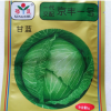 批發甘藍 京豐一號 露地栽培 品質佳 口感好 量大優惠