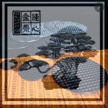 花盆墊片 花盆底部防漏土 紗網(wǎng) 底孔墊片 盆景 種花養(yǎng)花園藝用品