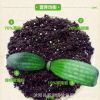 花土營養土大包包郵多肉土肥料種植腐殖種菜黑土養花泥炭綠蘿土壤