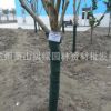 廠家供應 樹木養護帶 植物繃帶園林苗木防寒布園林綠化包樹毯