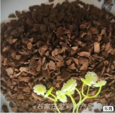 龍彩礦產品 蘭花盆栽種植專用 基質肥料