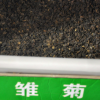 實(shí)體店批發(fā)進(jìn)口草坪草花 雛菊種子 混色 迷你型 高品質(zhì) 放