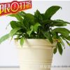 樹脂圓形特大號果蔬種菜花盆庭院戶外種植花盆園藝用品種植盆批發(fā)