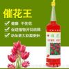 暉皇園林養花專用營養液水培土培花卉肥料蘭花牡丹有機花肥催花王