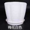 暉皇園林帶托盤花盆多肉綠蘿種菜大小號加厚彩色朔料小花盆批發