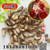 果樹 月季花石榴苗 四季石榴樹苗盆景盆栽 庭院植物 石榴苗木種子