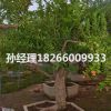 基地直銷石榴樹綠化樹苗石榴盆景南方北方種植當(dāng)年結(jié)果石榴樹苗批