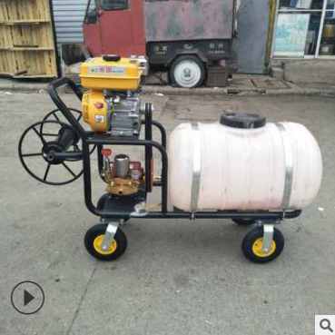 多功能小果園茶園專用噴藥打藥機(jī) 手推式汽油打藥機(jī) 農(nóng)田打藥機(jī)