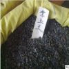 出售新采紫玉蘭種子 白玉蘭種子 辛夷 新玉蘭種子