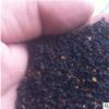 【大毅苗木】出售 進口 五彩石竹種子 草花種子 量大優惠