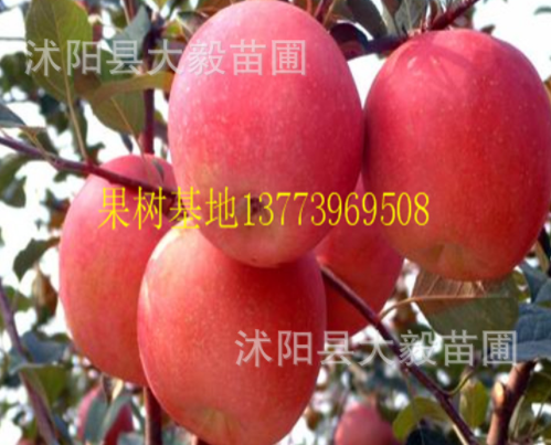 QQ截圖20181023210243