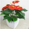 室內高檔花卉盆栽 紅掌 盆景植物 四季常青