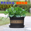 天時利加侖花盆黑色矮胖加侖盆多肉綠蘿塑料花盆陽臺種花種菜盆