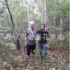 老潘花木場(chǎng)為您提供優(yōu)質(zhì)的白樺樹桿 白樺樹皮 白樺附屬產(chǎn)品
