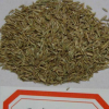 【大福源園林】供應(yīng)各種工程綠化小苗 量大優(yōu)惠 黑麥草 多年生