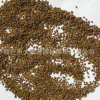 基地直銷 量大優(yōu)惠 優(yōu)質(zhì)牧草種子 紫云英種子