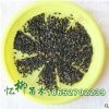 批發(fā)優(yōu)質(zhì)瓜子黃楊（好）種子 小葉黃楊 發(fā)芽率高 質(zhì)量保證
