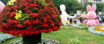 2019第十屆中國北京國際花卉園藝展覽會