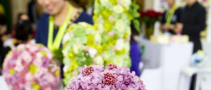 2019北京花卉園藝展覽會(國際盛會)