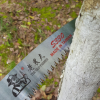 臺灣正品老農夫S330彎鋸 整枝鋸 修枝鋸 手鋸 園藝鋸 園林工具