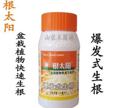 根太陽植物龍盆栽植物生根劑100ML爆發(fā)式生根每瓶可兌水180公斤