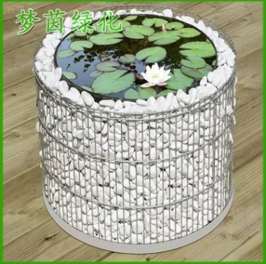 私家別墅花園花卉養護 庭院景觀花卉綠化養護綠化養護工程
