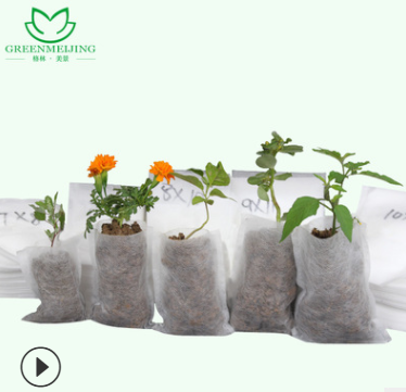環(huán)保無紡布育苗袋透水透氣降解苗圃袋水果種植袋營(yíng)養(yǎng)袋加厚營(yíng)養(yǎng)缽