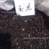 批發林木種子 紫白玉蘭種子價格 種類齊全 量大優惠 觀花喬木