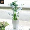 大型龜背竹 大葉 盆栽植物 水生 水培綠植室內客廳吸甲醛凈化空氣