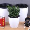 批發自動吸水懶人花盆 水培懶人盆 塑料樹脂大號創意綠蘿盆栽花盆