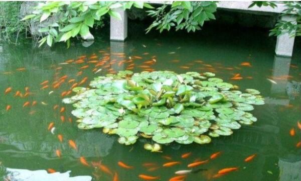 我國最小的園林就在蘇州！但是地位卻超高，還曾經(jīng)被美國人仿造！