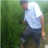 苗木基地直銷不脫腿側柏苗 營養缽側柏苗 嫁接用當年側柏小苗