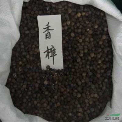 樂(lè)昌含笑行情報(bào)價(jià)\樂(lè)昌含笑圖片展示