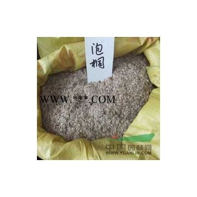 供應(yīng)紅楓種子/江西紅楓種子低價(jià)格批發(fā)