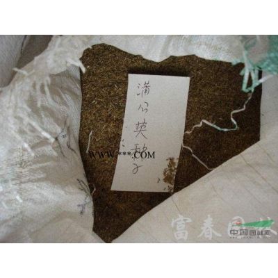 欒樹(shù)，欒樹(shù)苗，江蘇欒樹(shù)，別名：燈籠樹(shù)、欒樹(shù)價(jià)格