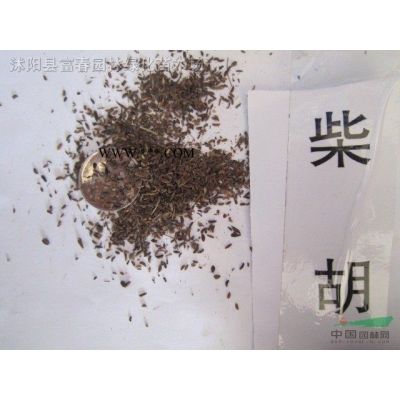 無(wú)患子，無(wú)患子樹(shù)苗，沭陽(yáng)無(wú)患子，無(wú)患子價(jià)格，無(wú)患子基地