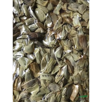 樸樹(shù)種子*新價(jià)格/樸樹(shù)種子報(bào)價(jià)