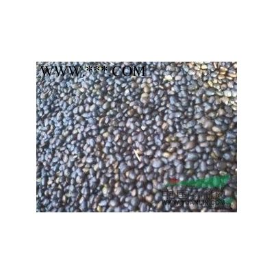 供應(yīng)：國(guó)槐，欒樹，白蠟，百日紅