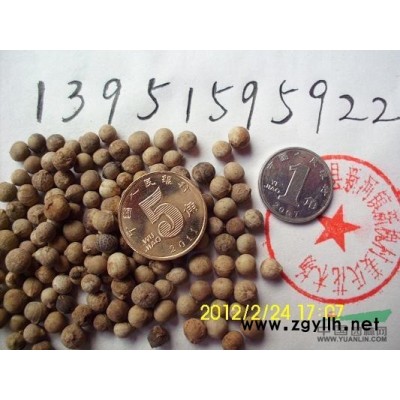云南黃馨南迎春花江蘇紅王子錦帶花紅瑞木連翹木槿價(jià)格低包郵寄