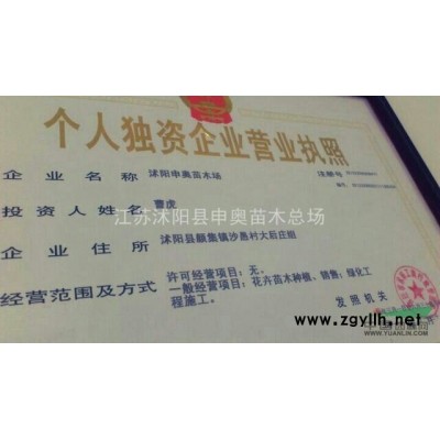 供應(yīng)江蘇地區(qū)紅葉石楠營養(yǎng)杯苗200萬棵