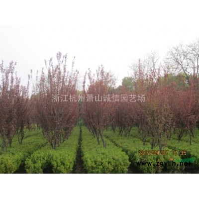 大量出售人造文化石，品種多