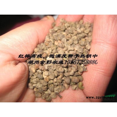 紅葉紫薇