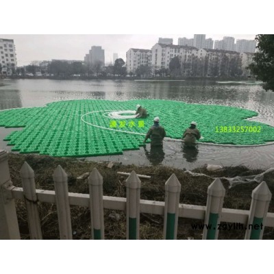 生態(tài)水景綠環(huán)保科技  人工浮島植物 景觀效果人工生態(tài)浮床 生態(tài)浮床 浮島植物  凈化水質(zhì)選紅發(fā)水景